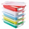 Bac plat témoins - lot de 5