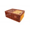 Bac alimentaire - 118L - 785x585x300 mm - fond ajouré, parois ajourées - réf. CVCP300800