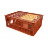 Bac alimentaire - 118L - 785x585x300 mm - fond ajouré, parois ajourées - réf. CVC300800