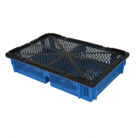 Bac à poussins gerbable emboîtable ajouré – 595 × 393 × 120 mm