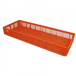 Bac d’éclosion plastique ajouré – 75L – 970 × 380 × 118 mm