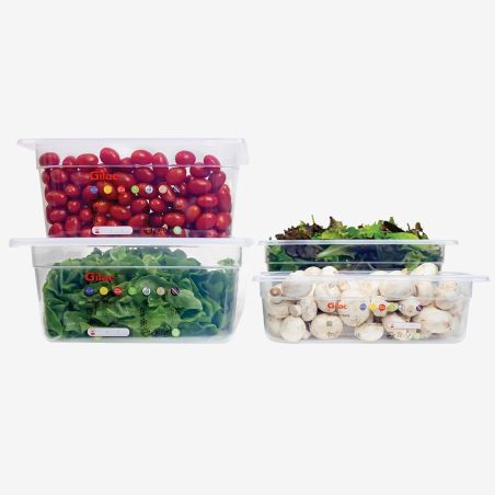 Bac Gastronorme GN 1/1 HACCP 13 L avec couvercle – lot de 2